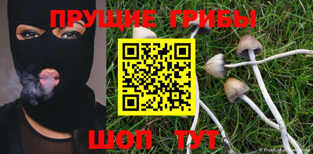 Псилоцибиновые грибы MAGIC MUSHROOMS  Псилоцибиновые грибы Psilocybe  Мирный  наркота  Вход с VPN 